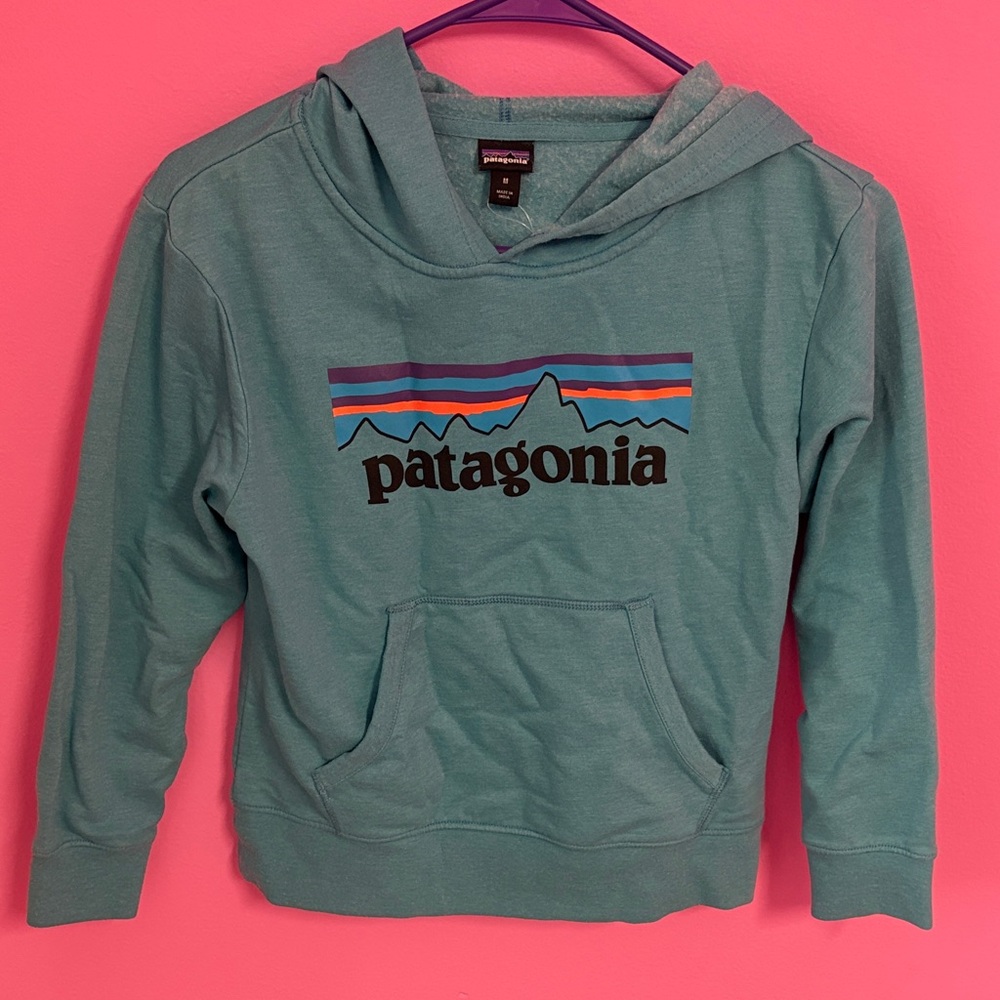 Patagonia Boys’ Hoodie – Size M (10) – Blue Graphic Logo